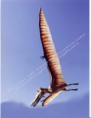 /album/dinosauri/tropeognathus-jpg/